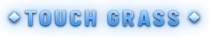 TOUCH GRASS
